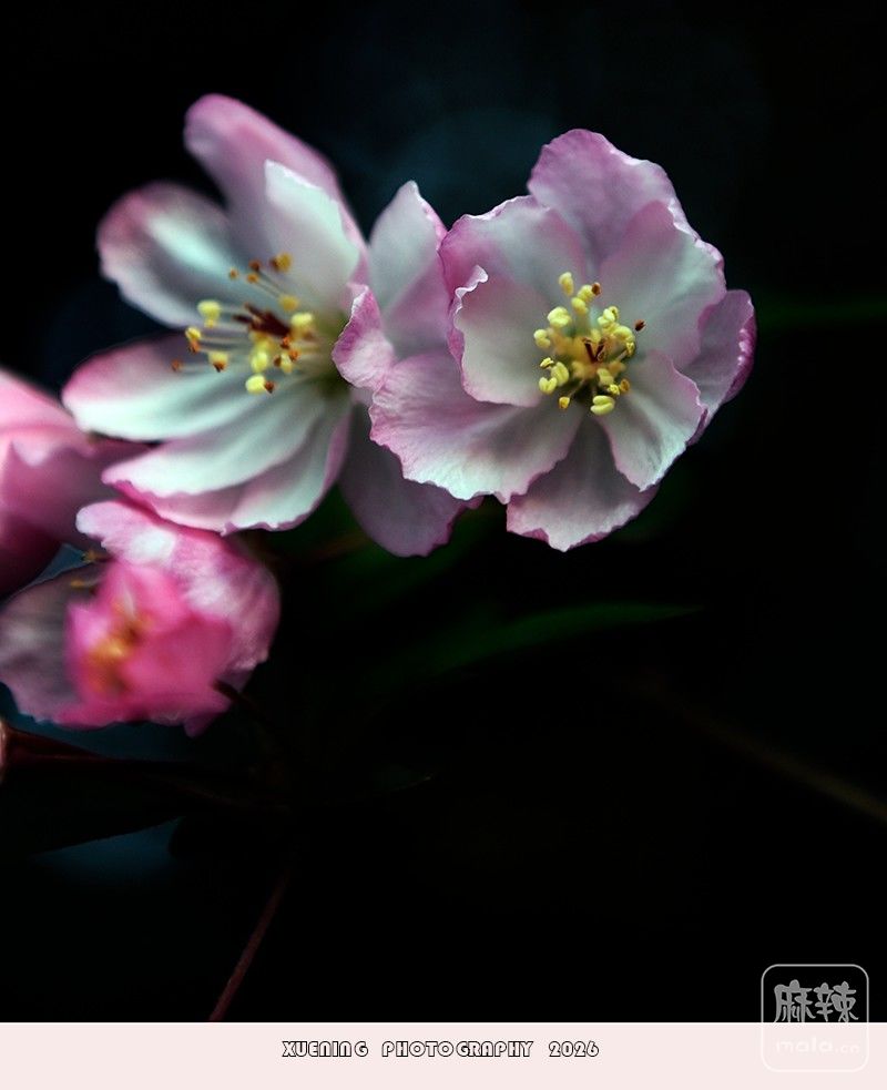 _DSC4855 ����.jpg