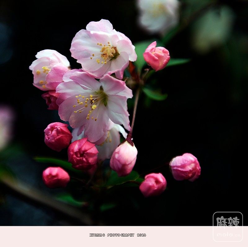 _DSC4854 ����.jpg