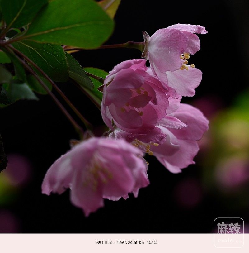 _DSC4970 ����.jpg