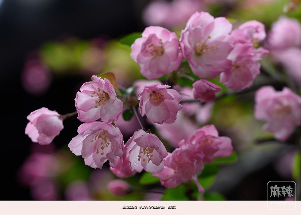 _DSC4969 ����.jpg