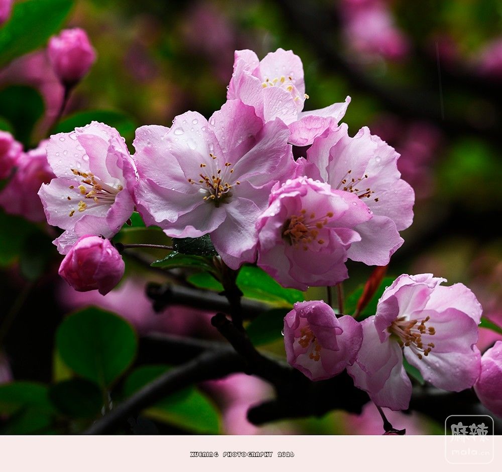 _DSC4953 ����.jpg