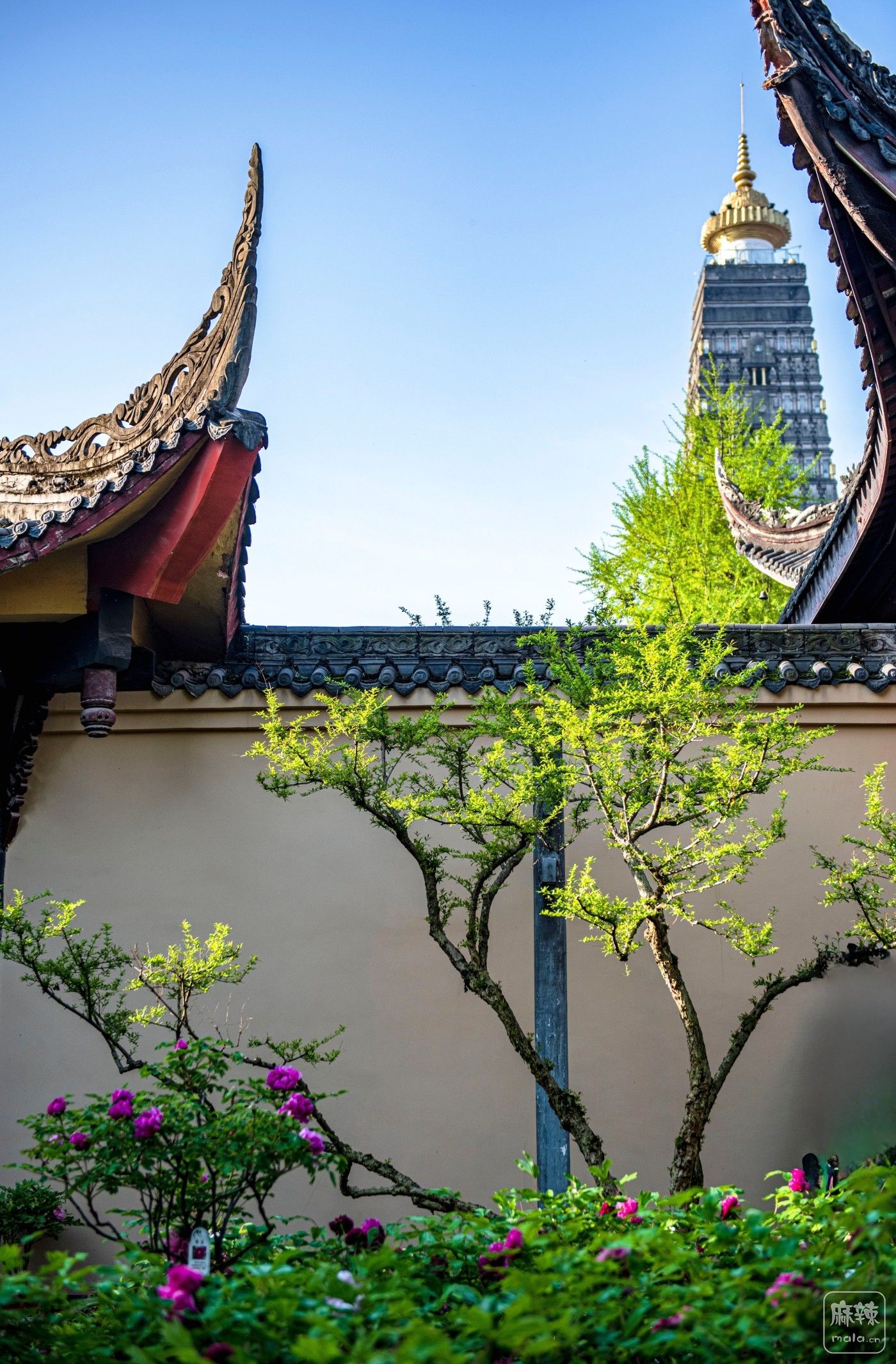 DSC_4080 ����.jpg