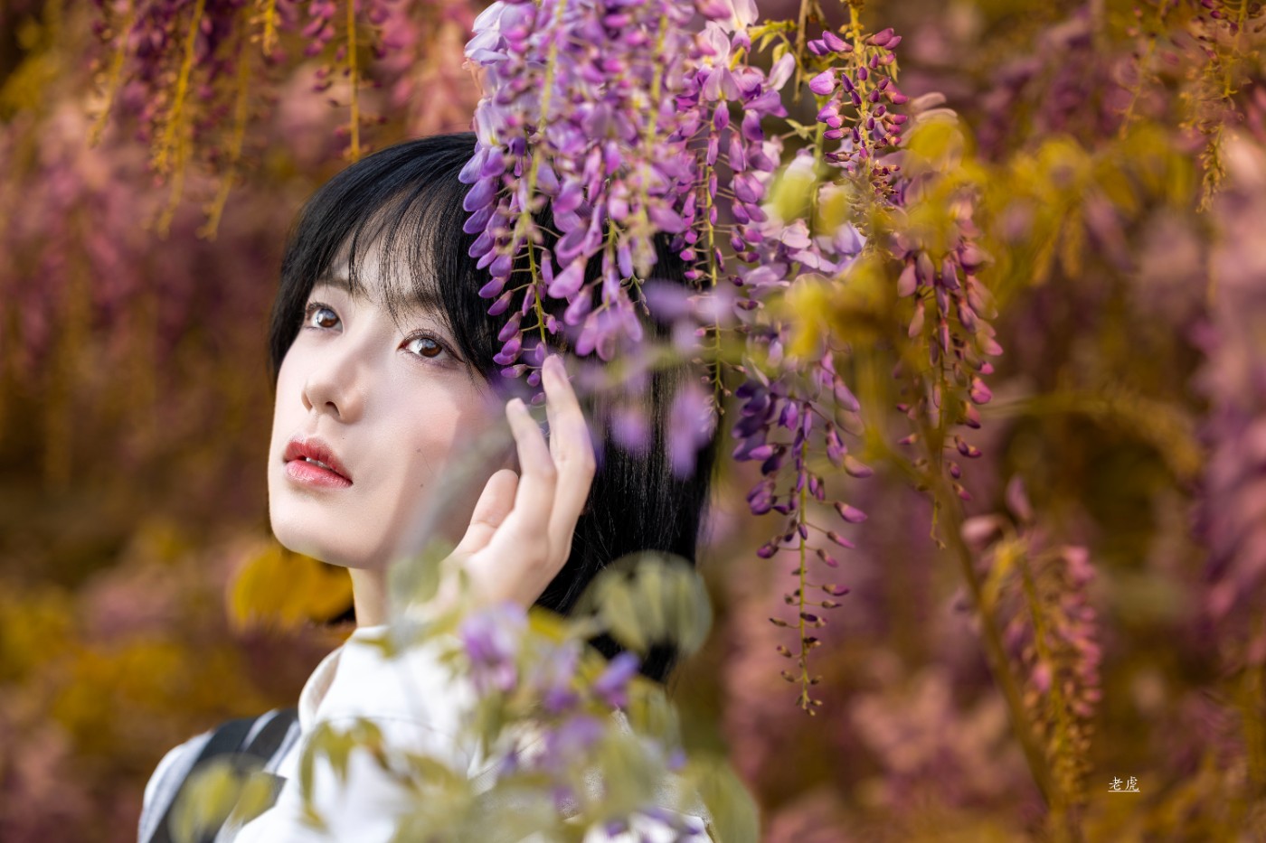 _P5A2049 - ���� ����.jpg