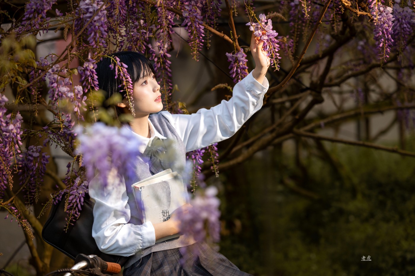 _P5A2432 ����.jpg