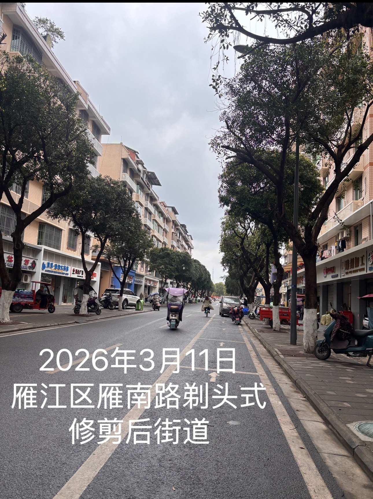 ͼ1��2026��3��11���㽭������·������ͷʽ���ض��޼���Ľֵ�