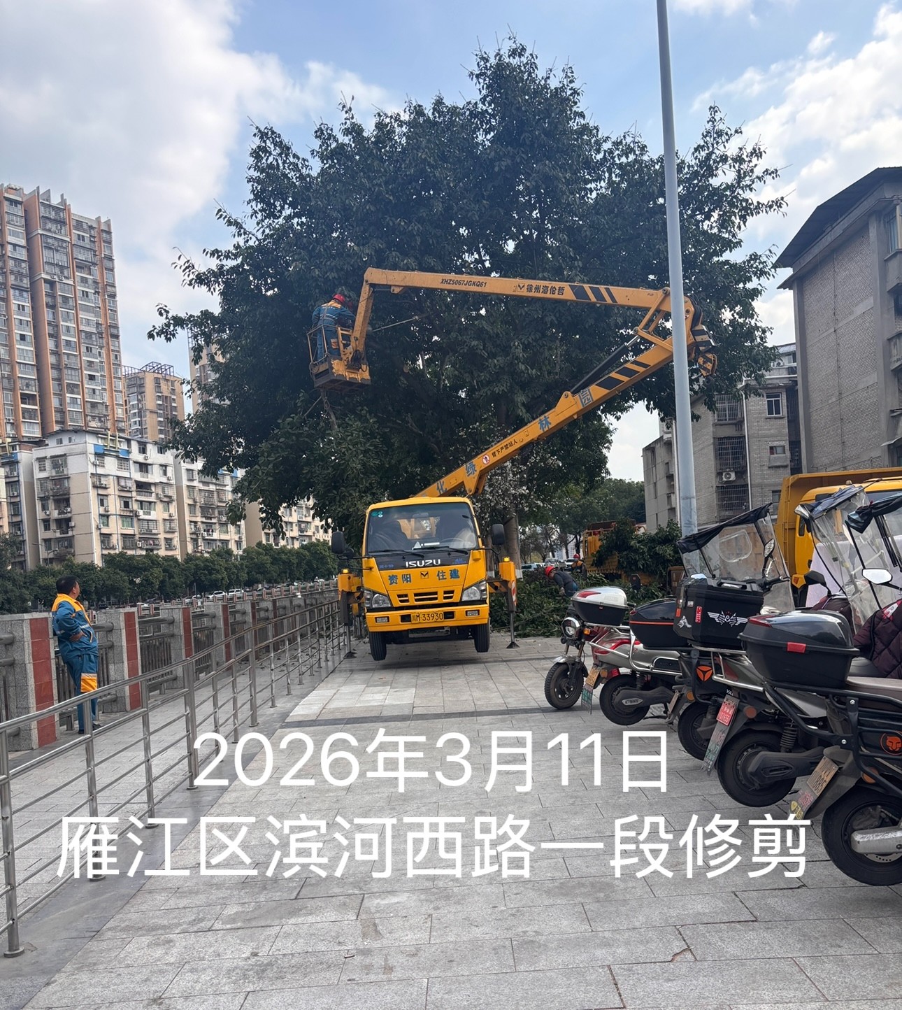  2026��3��11�գ��㽭��������·һ�Σ���Ϳ������ס������������ҵ�������ڶԵ�·��֦���м�֦��ҵ��