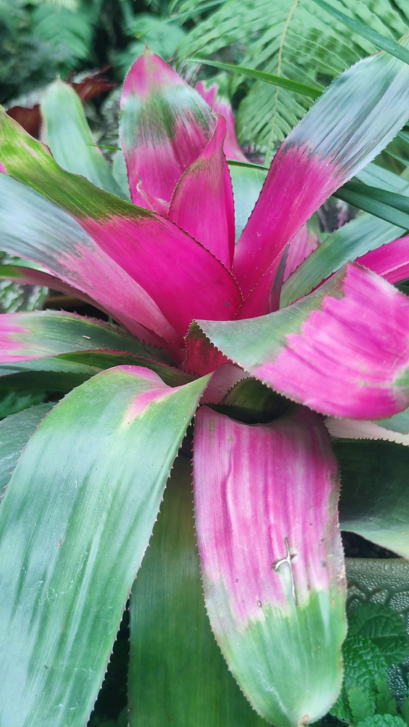 �Ҹ���ͥ���Ĵ󷨱�