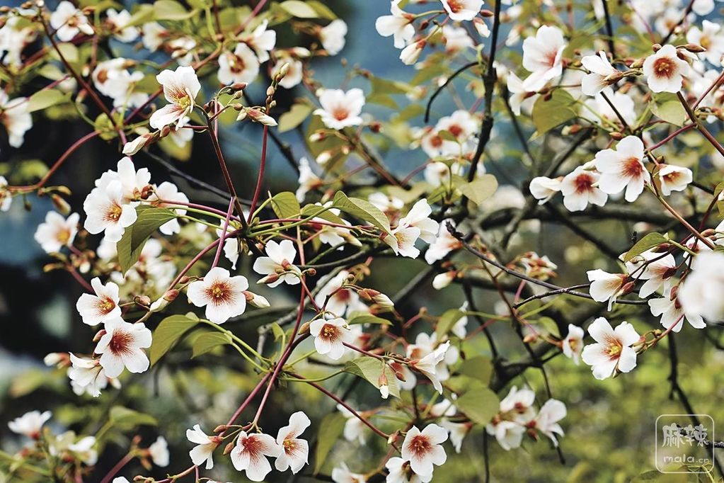 3e3c354b-0ff5-4518-80fd-f33d318925cc.tif.2