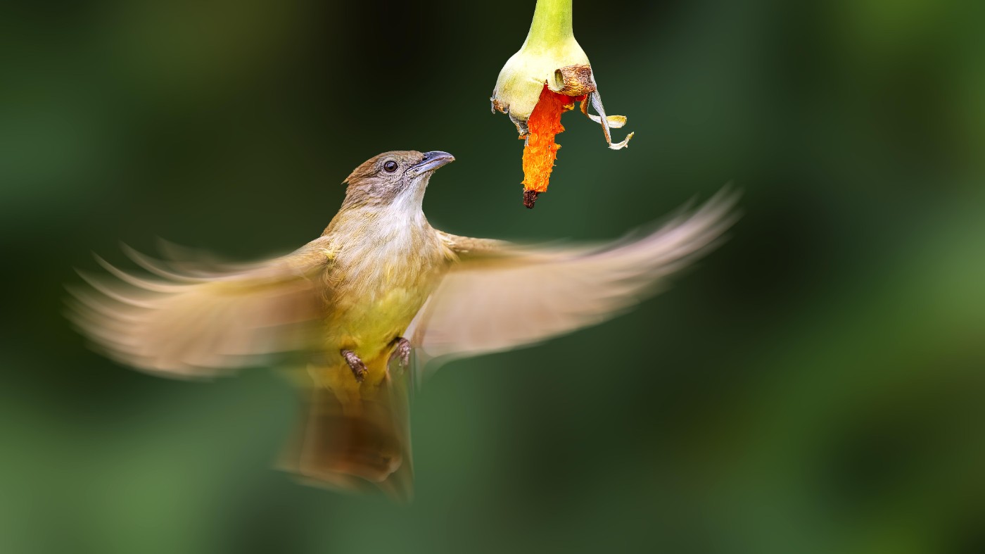 _1201339-ORF_DxO_DeepPRIMEXD ���� 2.jpg