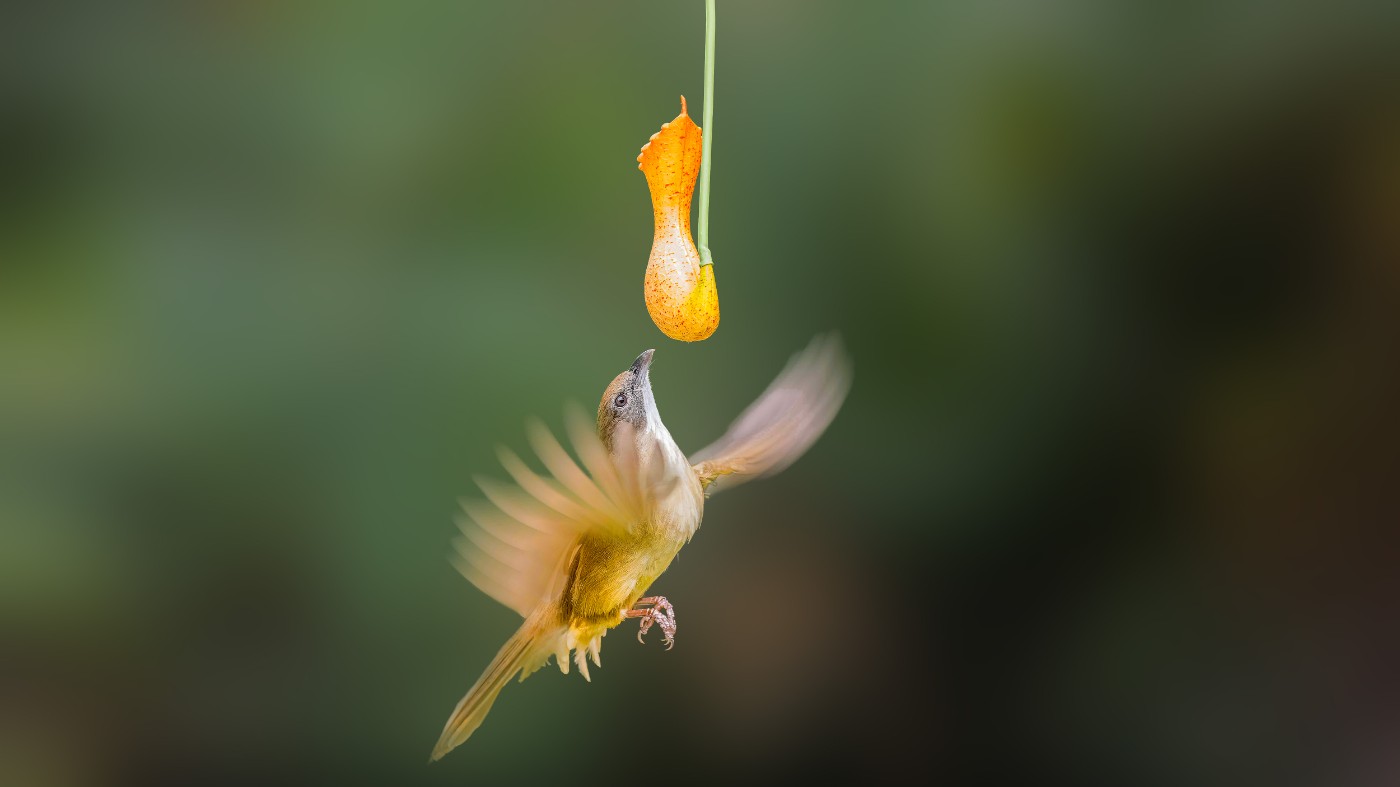 _1202437-ORF_DxO_DeepPRIMEXD ����.jpg