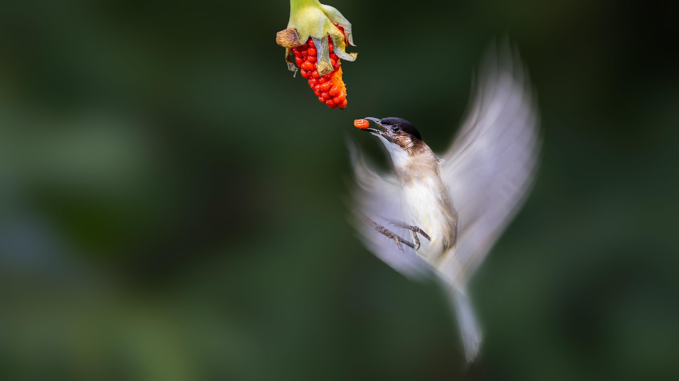 _1200968-ORF_DxO_DeepPRIMEXD ���� 2.jpg