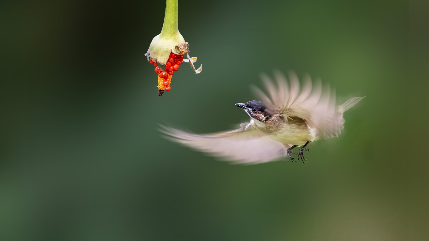 _1201160-ORF_DxO_DeepPRIMEXD ����.jpg