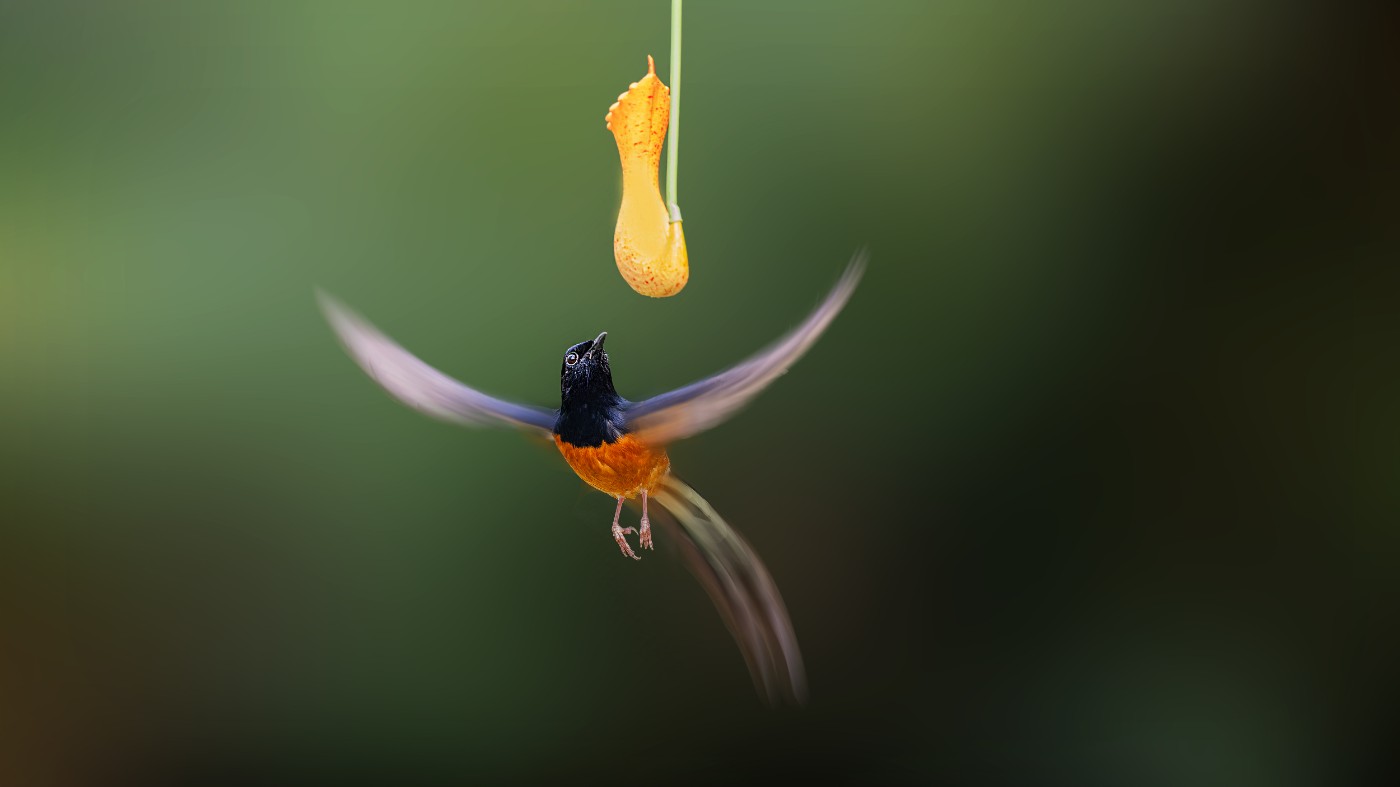 _1202421-ORF_DxO_DeepPRIMEXD ����.jpg