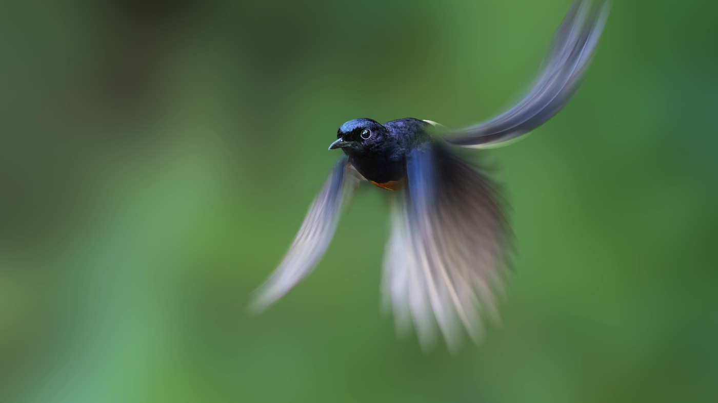 P1200203-ORF_DxO_DeepPRIMEXD ���� 2.jpg