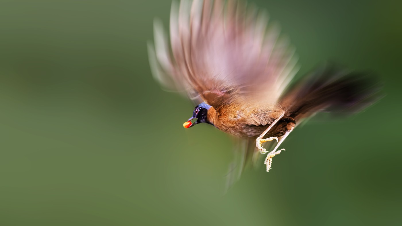 _1200995-ORF_DxO_DeepPRIMEXD ���� 2.jpg