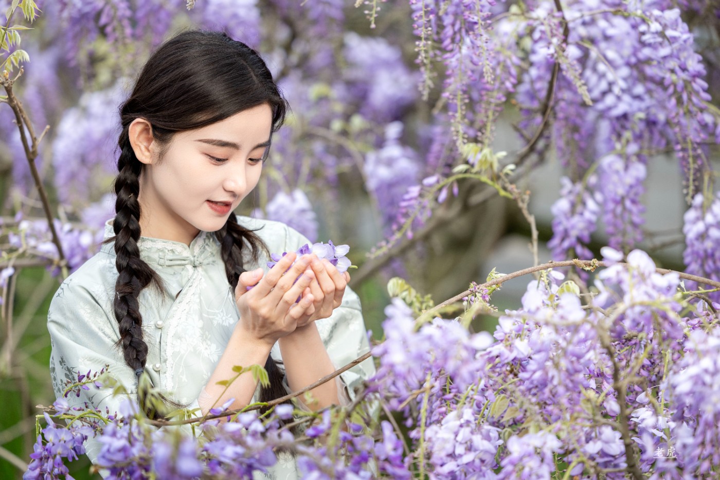 _P5A2281 ����.jpg