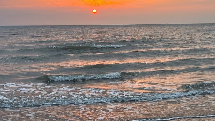 ee4c410a6a3449ba9dfb58b94abe699c (1).jpeg