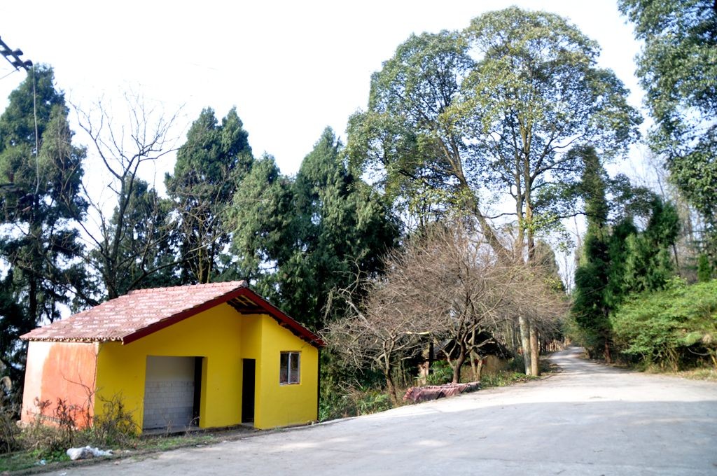 �ɽˮ�续 024_����.jpg