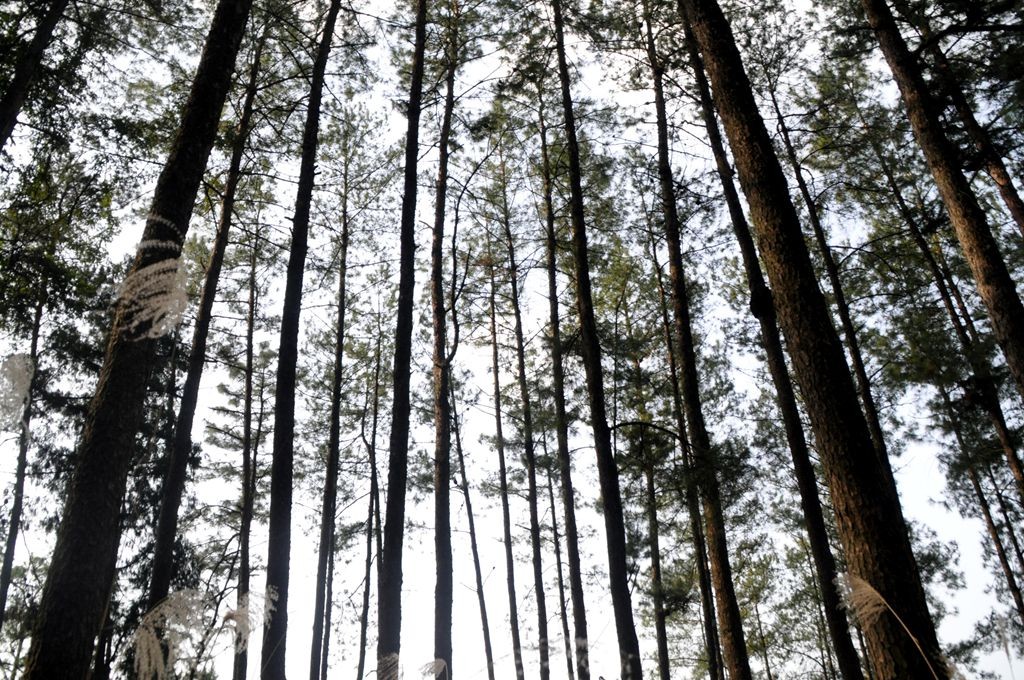 �ɽˮ�续 071_����.jpg