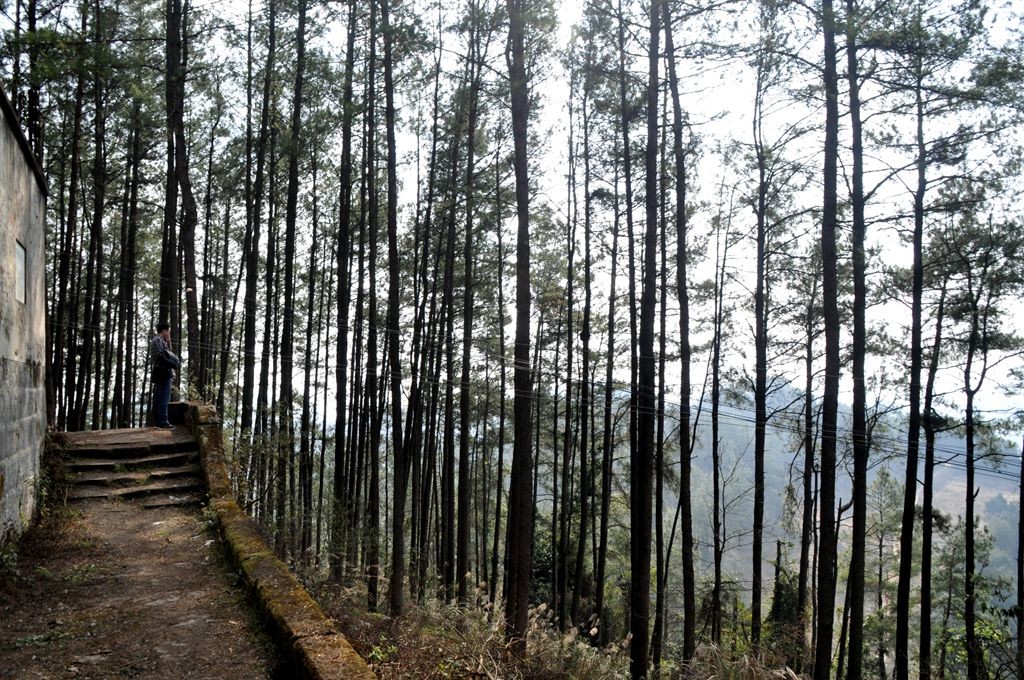 �ɽˮ�续 082_����.jpg