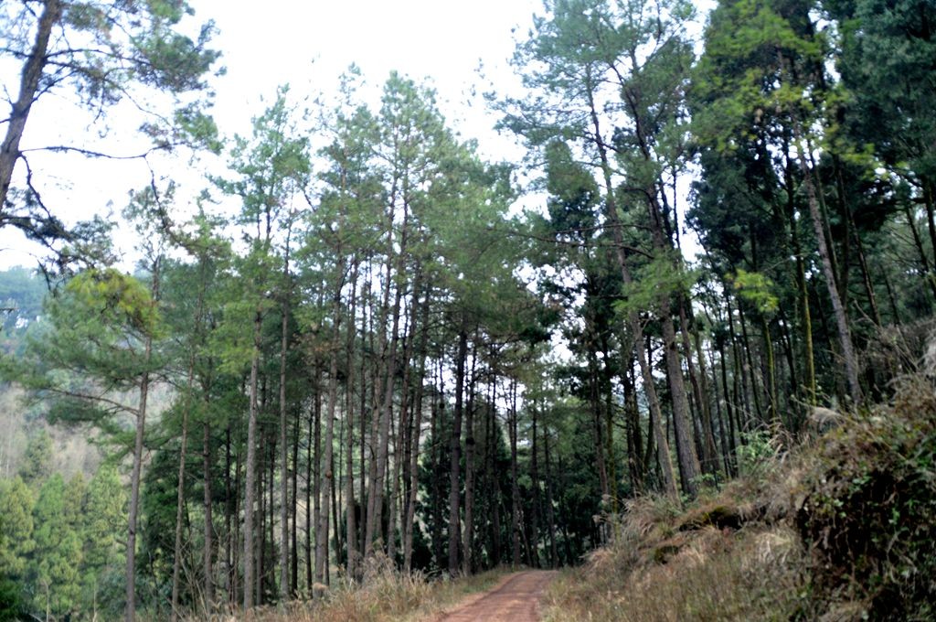 �ɽˮ�续 121_����.jpg