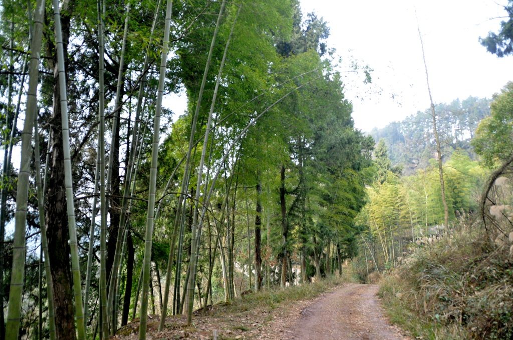 �ɽˮ�续 127_����.jpg