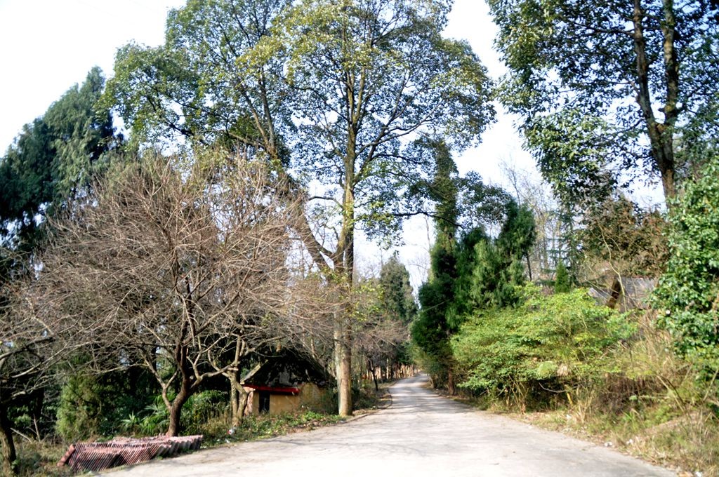 �ɽˮ�续 025_����.jpg