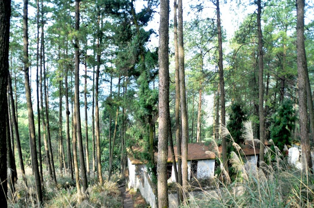 �ɽˮ�续 078_����.jpg