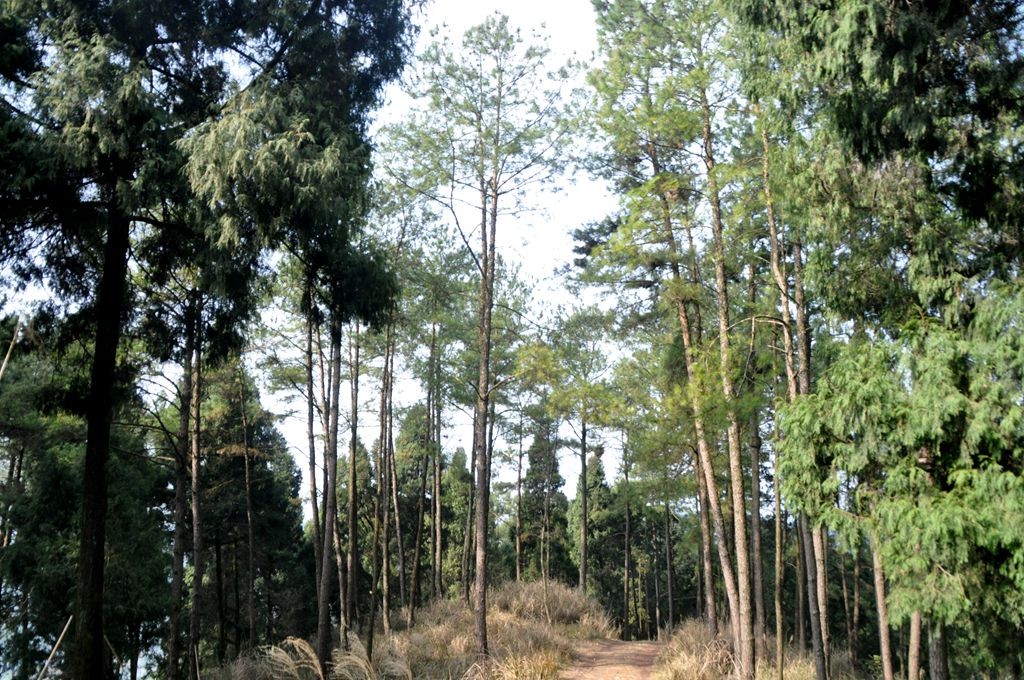 �ɽˮ�续 089_����.jpg