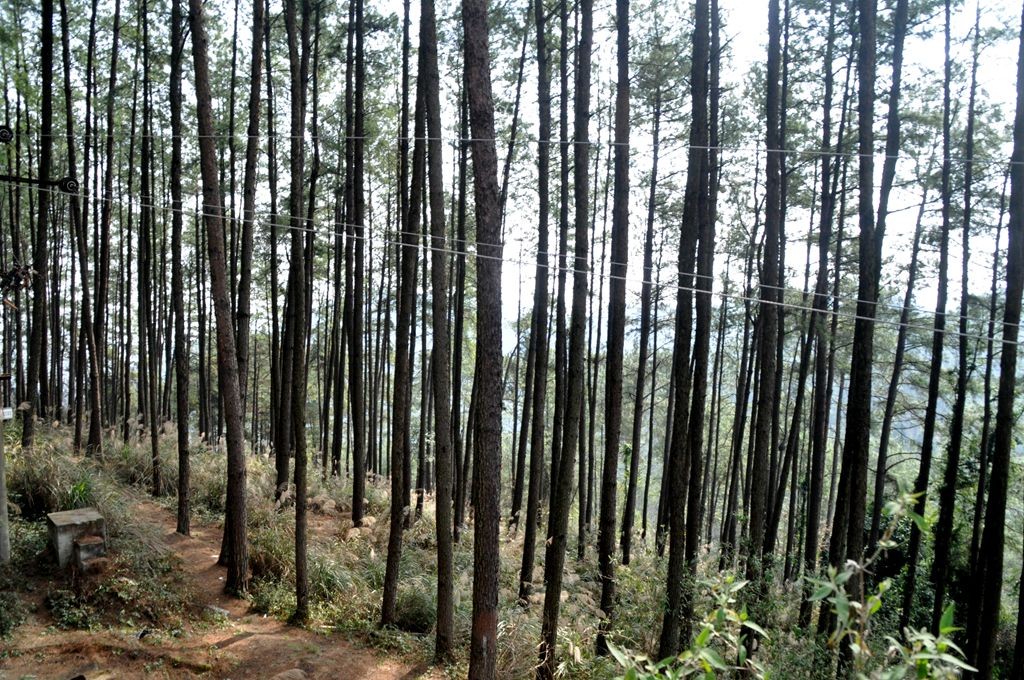 �ɽˮ�续 085_����.jpg