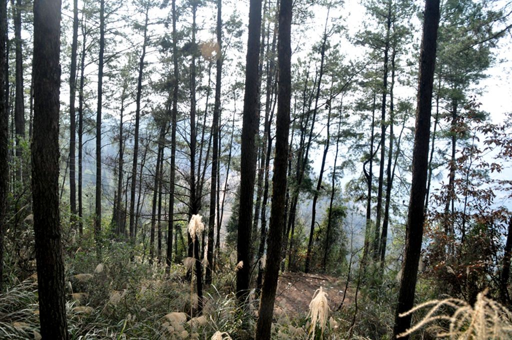 �ɽˮ�续 080_����.jpg