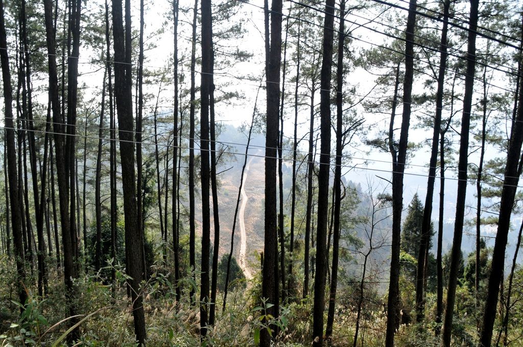 �ɽˮ�续 084_����.jpg