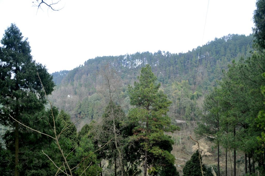 �ɽˮ�续 105_����.jpg