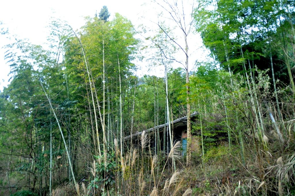 �ɽˮ�续 130_����.jpg