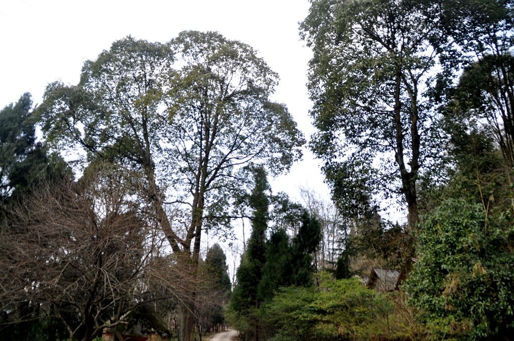 �ɽˮ�续 131_����.jpg