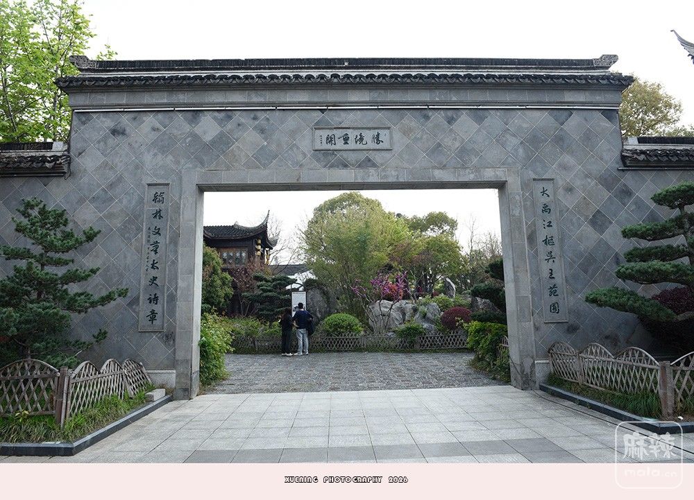 _DSC6597 ����.jpg