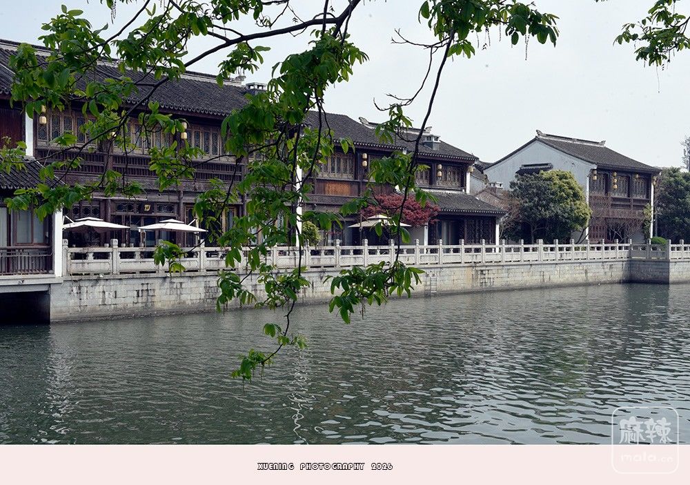 _DSC6590 ����.jpg