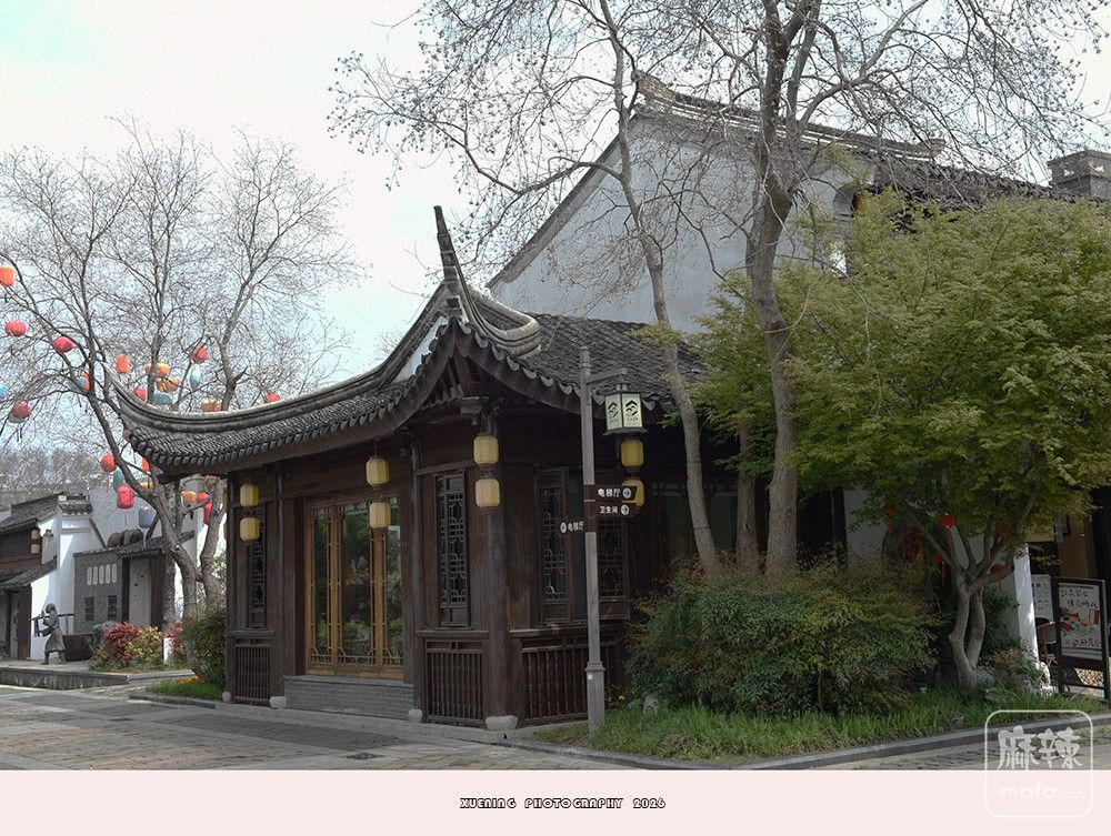 _DSC6625 ����.jpg