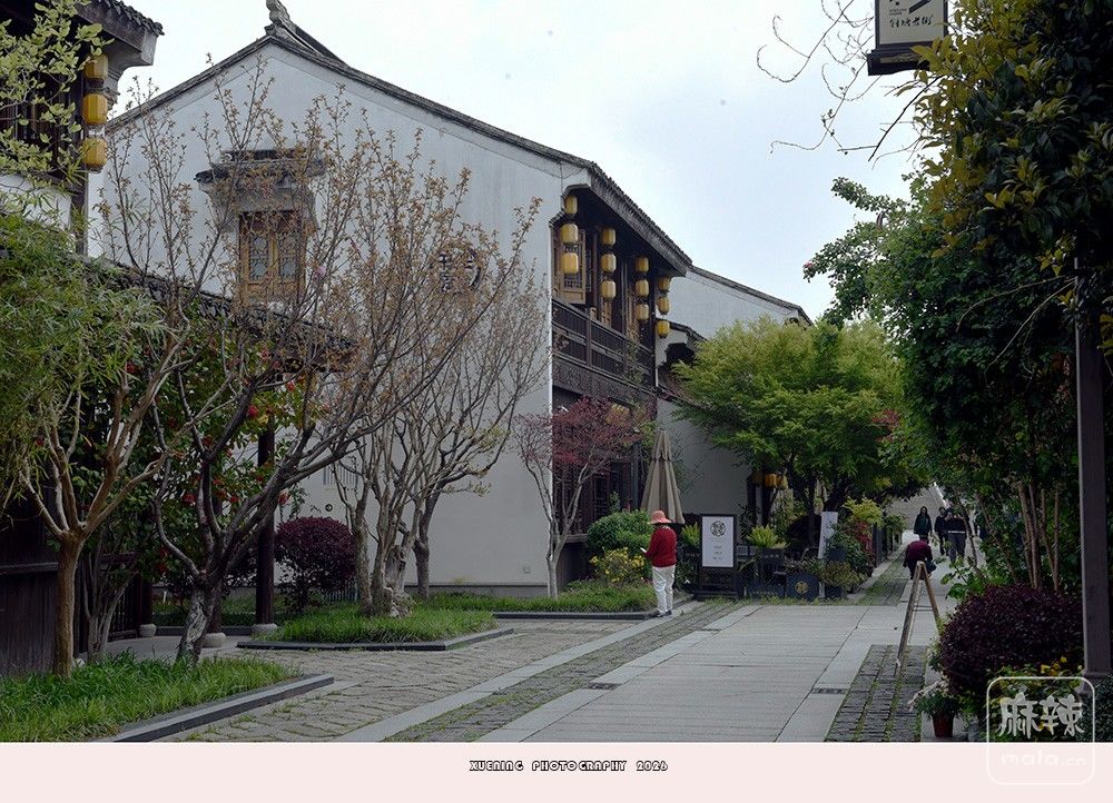 _DSC6634 ����.jpg