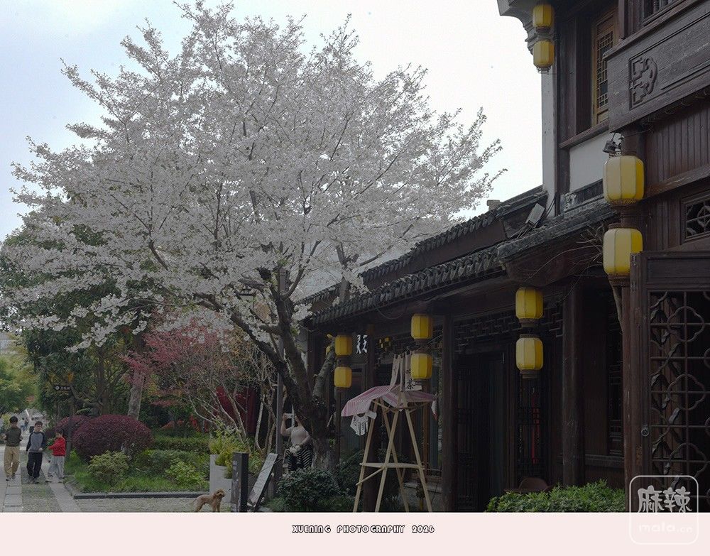 _DSC6627 ����.jpg