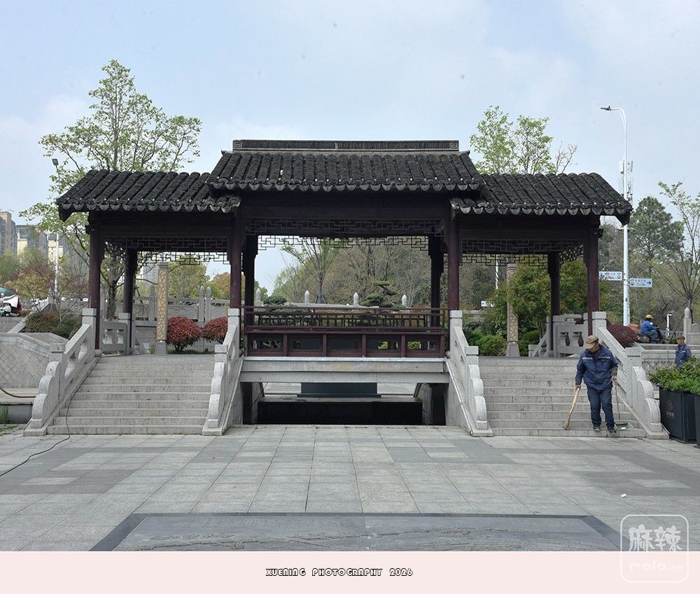 _DSC6593 ����.jpg