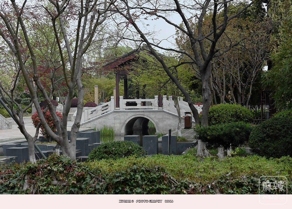 _DSC6604 ����.jpg