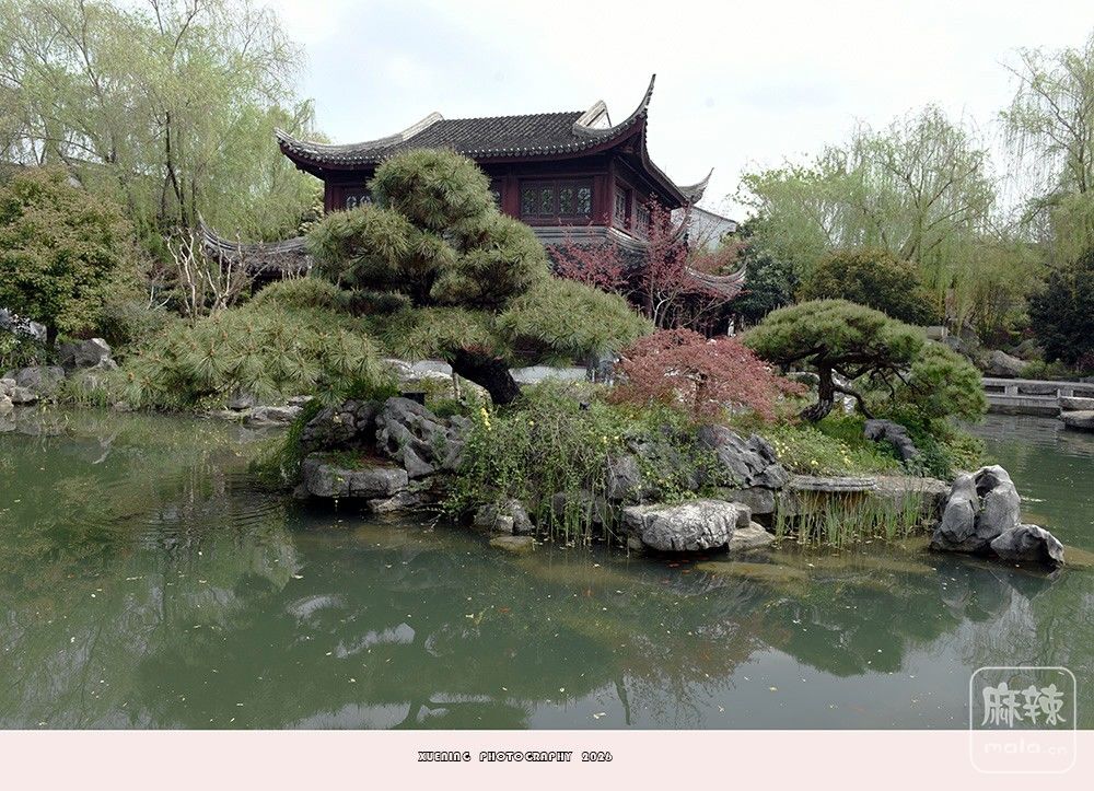 _DSC6667 ����.jpg