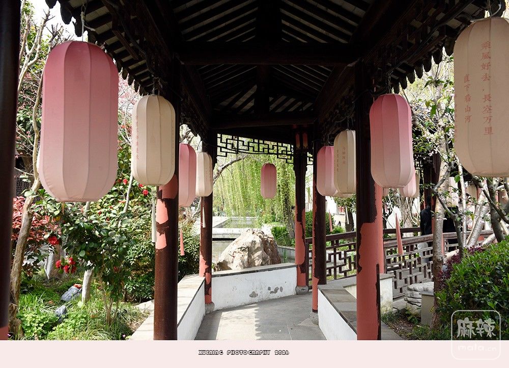 _DSC6649 ����.jpg