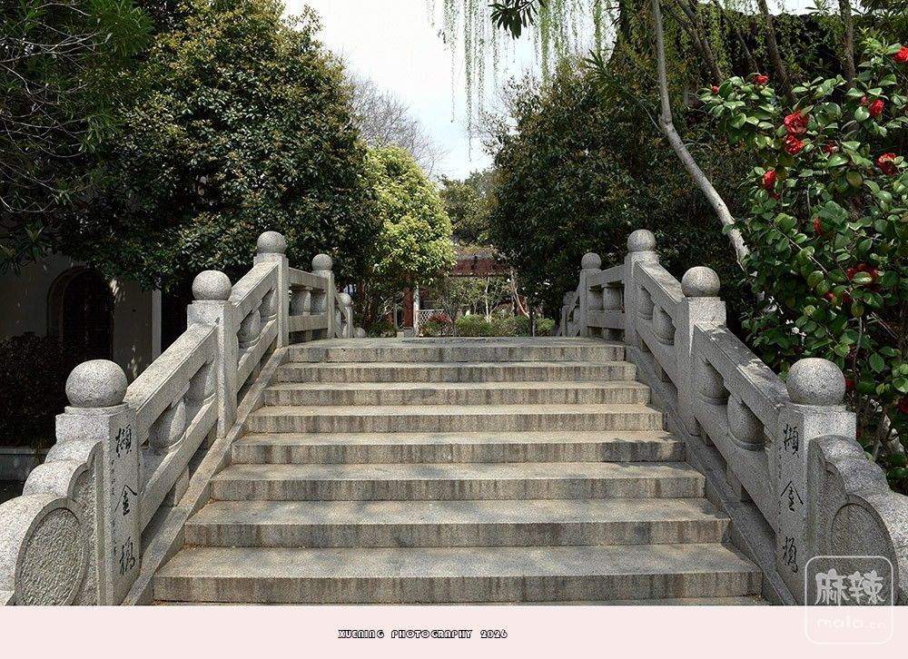 _DSC6720 ����.jpg