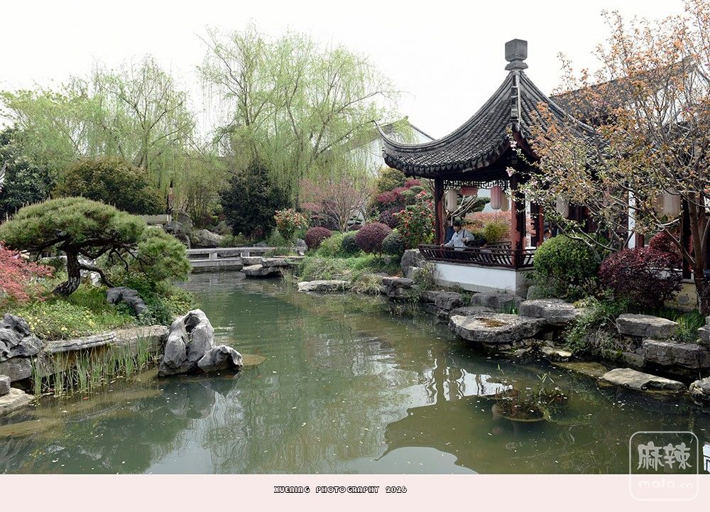 _DSC6668 ����.jpg