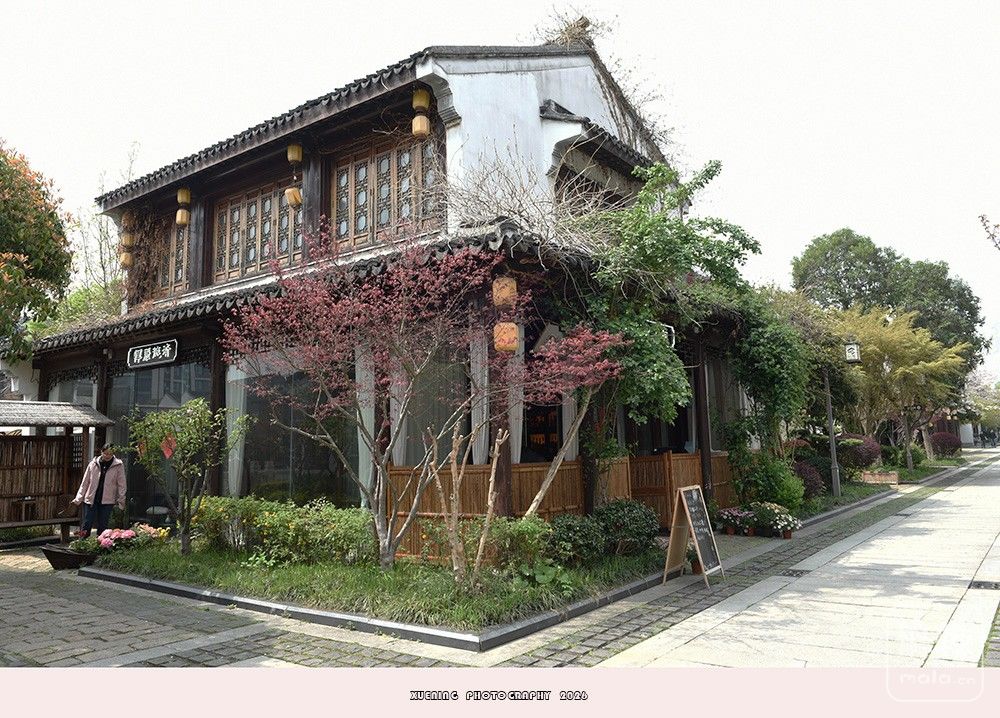 _DSC6640 ����.jpg