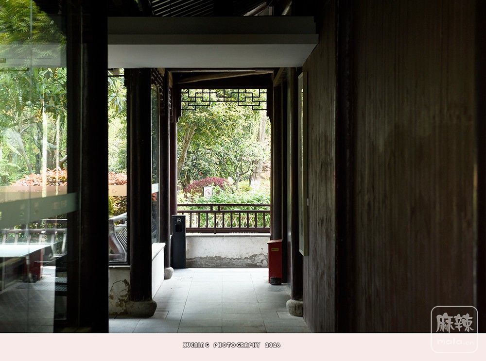 _DSC6717 ����.jpg