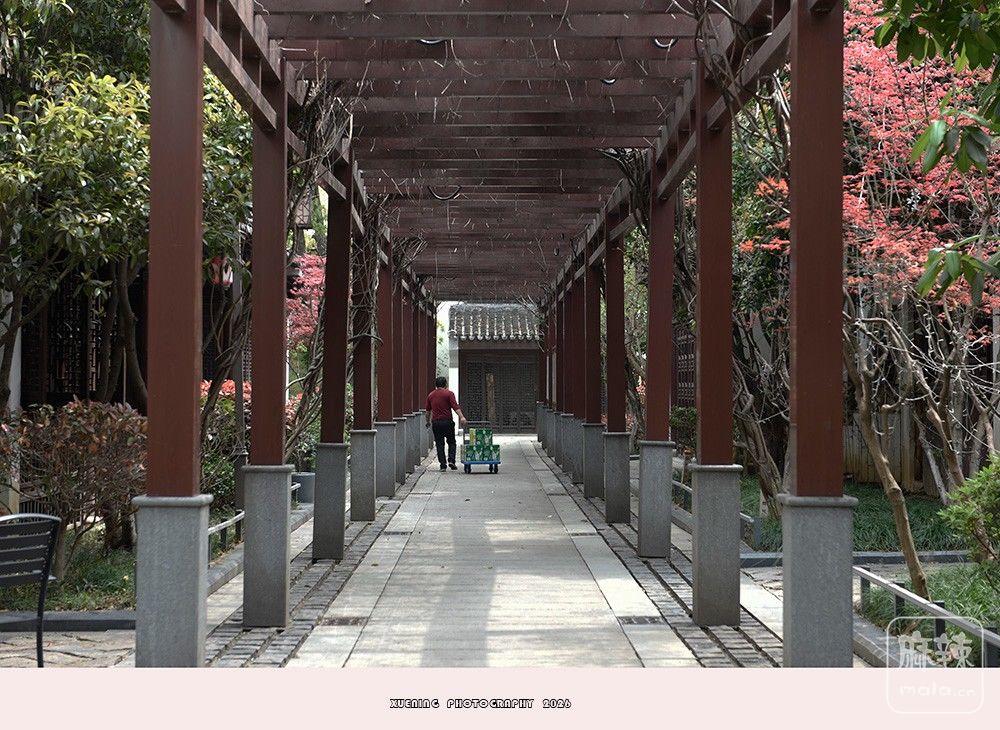 _DSC6724 ����.jpg