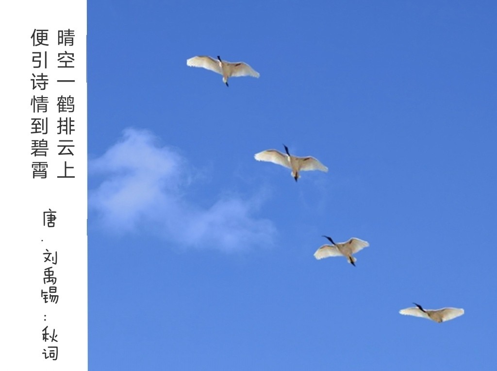 ����Ӱ�������ʫ���ʡ������⾳